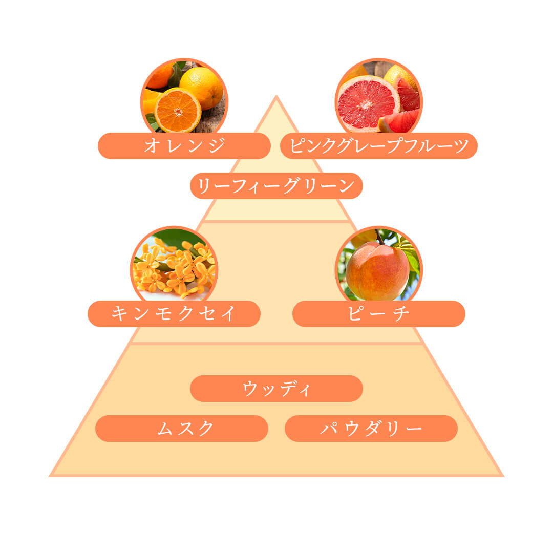 香りのピラミッド イメージ図