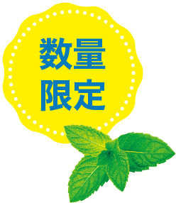 数量限定